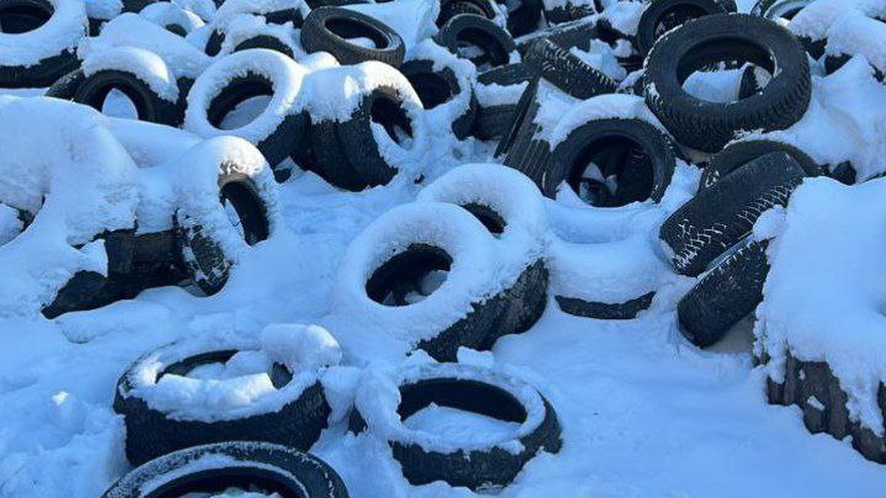 Главная картинка новости: Воронежское минприроды потребовало от мэрии облцентра убрать свалку покрышек