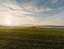 Залоговый фонд Воронежской области вырос до 7,7 млрд рублей