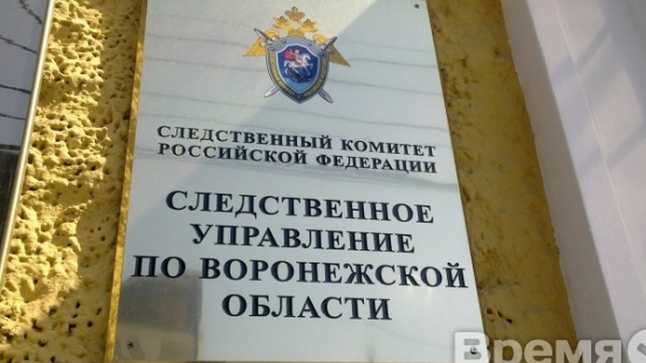 Главная картинка новости: В воронежском следственном управлении началась проверка по делу Павла Пономарева