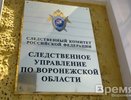 В воронежском следственном управлении началась проверка по делу Павла Пономарева