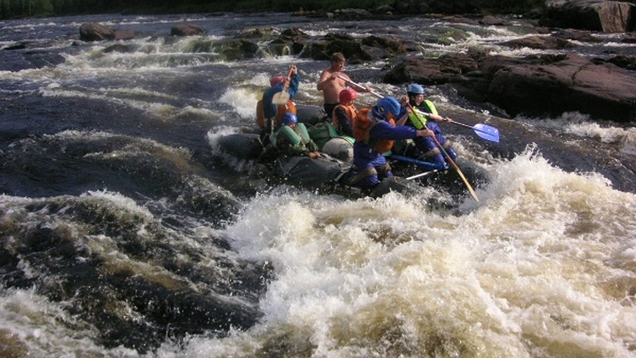 Главная картинка новости:  Воронежскую туристическую отрасль нужно приравнять к аграрному сектору