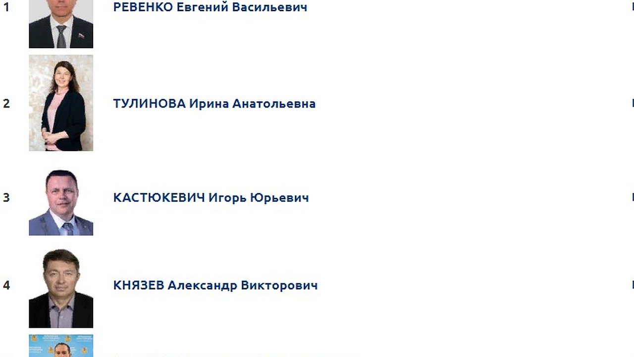 Главная картинка новости: Фавориты воронежских праймериз ожидаемо победили на одномандатных округах