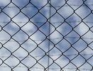 В Воронеже экс-замглавы УЭБиПК попробует обжаловать тюремный приговор
