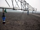 Воронежская почва пользуется спросом и предложением