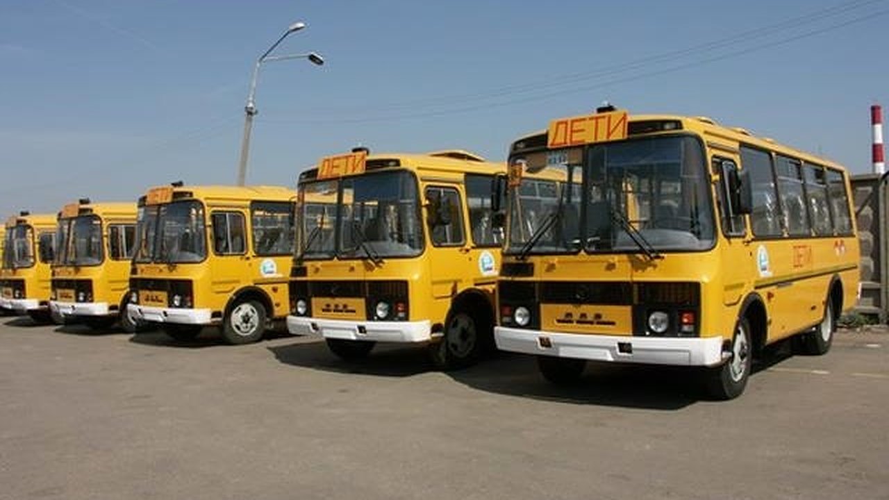 Главная картинка новости: Поездки в воронежских школьных автобусах были не безопасными