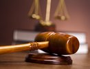 Главу воронежской компании заставили вернуть в бюджет 600 тысяч рублей 