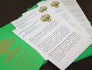 В Воронежской области за год более 2,7 тысячи раз нарушили природоохранные законы 