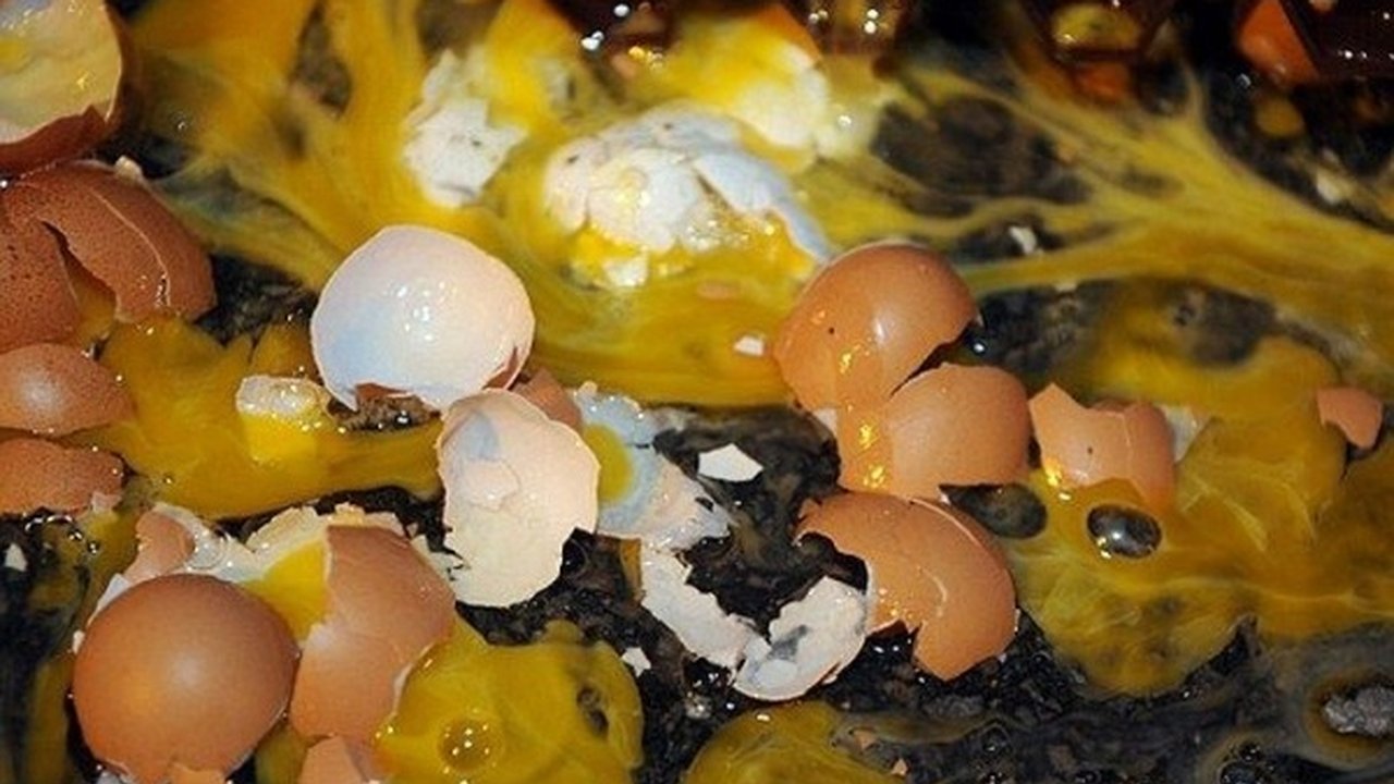 Главная картинка новости: Воронежские власти не взяли на себя ответственность в деле о птичьем гриппе