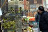 Миниатюра новости: Судьба воронежского птичьего рынка под вопросом 