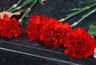 Миниатюра новости: Воронежский облсуд отменил штраф коммунисту за возложение цветов Ленину