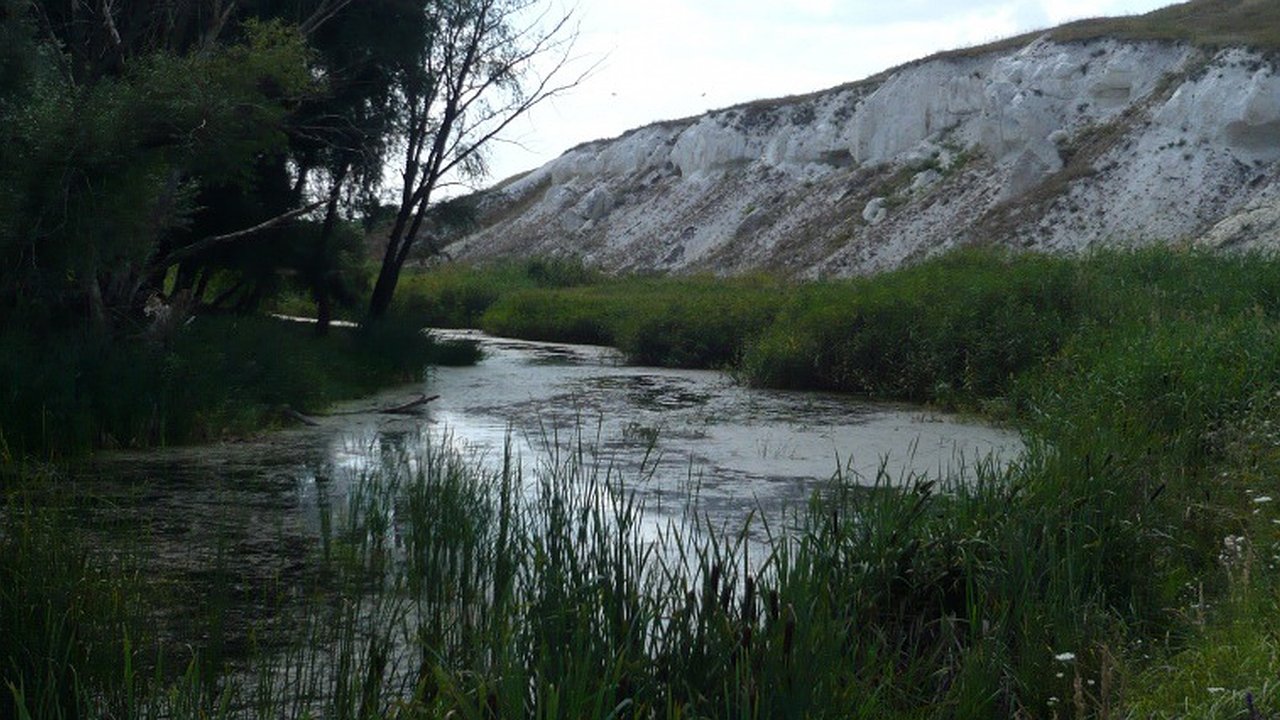 Главная картинка новости: Компания из Белгорода расчистит 3,7 км русла реки Подгорная в Воронежской области
