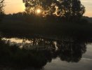 Проектом улучшения качества воды реки Воронеж займется ярославский подрядчик