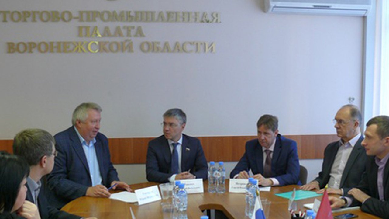 Главная картинка новости: Воронежский депутат предложил отменить проверки предпринимателей