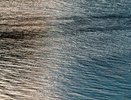 Прокуратура вернула в госсобственность участок на берегу реки Воронеж