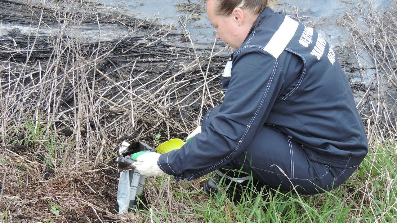 Главная картинка новости: Росприроднадзор требует более 4,3 млн рублей с белгородской компании за загрязнение почвы в Воронежской области