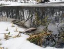 Росприроднадзор внепланово проверил «Липецкоблводоканал» и выявил 17 нарушений 