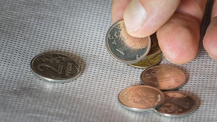 Главная картинка новости: Покупательная способность воронежцев упала в 2020 году