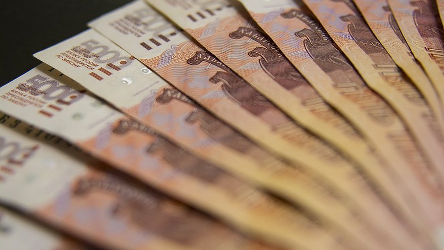 Главная картинка новости: В воронежской гордуме отметили социальную направленность бюджета-2020