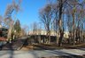 Миниатюра новости: Парк Орленок в Воронеже могут открыть для посетителей 30 ноября