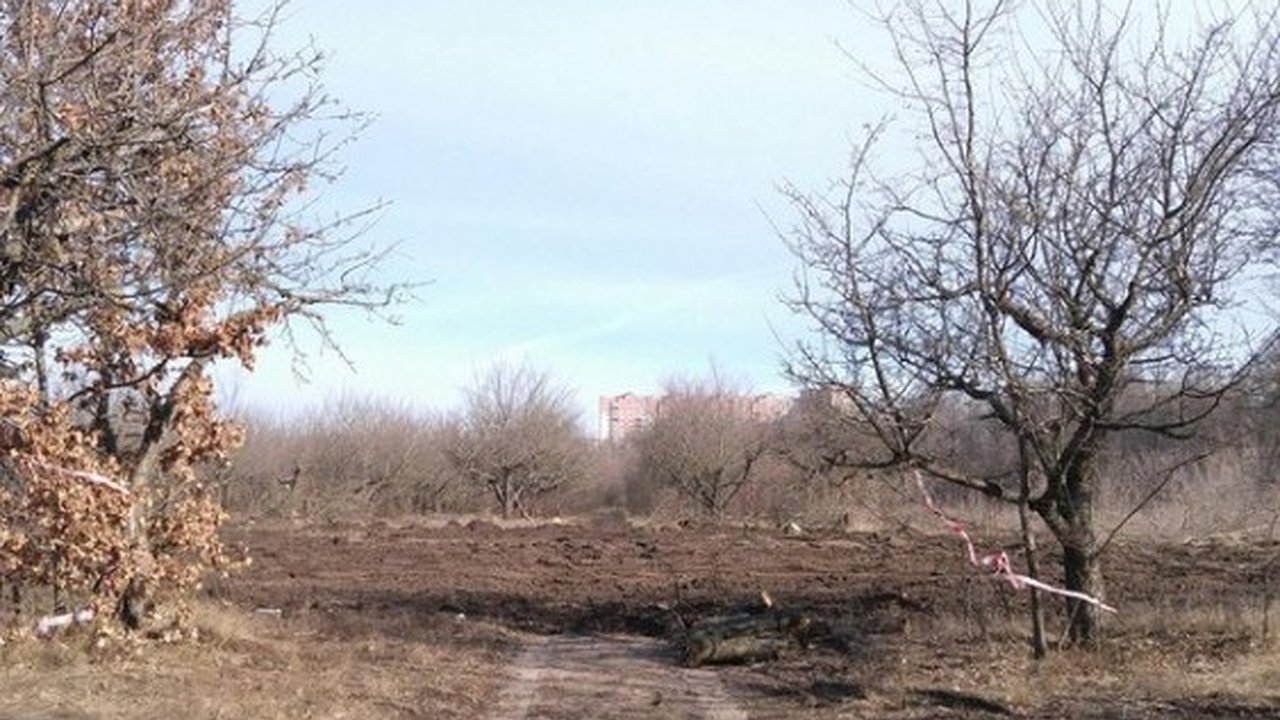 Главная картинка новости: В Воронеже сделан выбор: дома вместо яблоневого сада