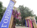 Власти еще не решили окончательно, пройдет ли в Воронеже «Город-сад»