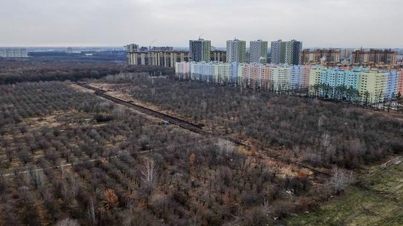 Главная картинка новости: Воронежцы попросили власть сохранить память о солдатах и отменить застройку в яблоневом саду