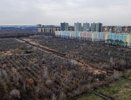 Воронежцы попросили власть сохранить память о солдатах и отменить застройку в яблоневом саду