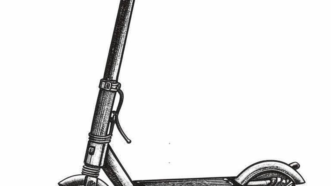 Главная картинка новости: Больше половины воронежцев негативно относятся к электросамокатам