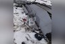 Миниатюра новости: В Воронежской области упал самолет Су-25