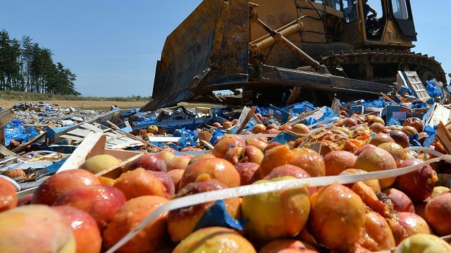 Главная картинка новости: В Воронеже потребляют больше всего молочного фальсификата 