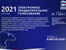 Сайт предварительного голосования «Единой России» в Воронеже не выдержал напора DDoS-атаки