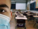 Воронежские школы перейдут на дистант