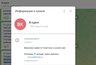 Миниатюра новости: Воронежские телеграм-войны обходятся без «В курсе» почти месяц