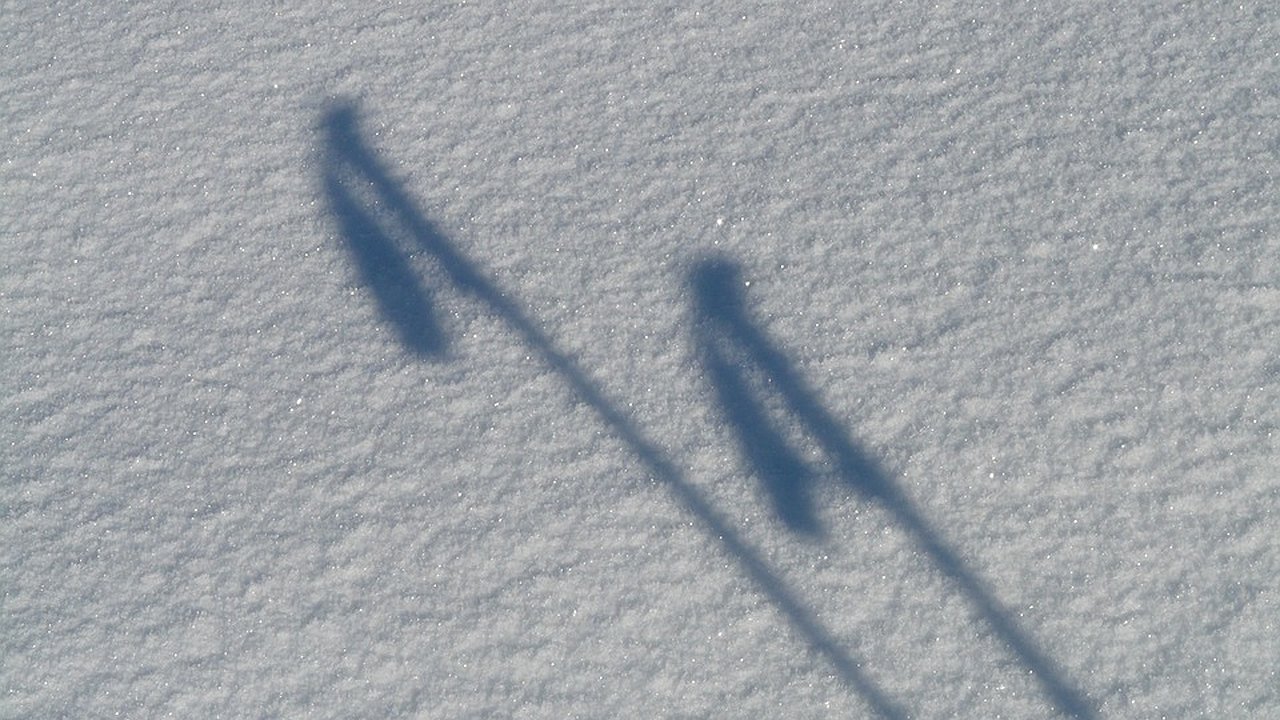 Главная картинка новости: В Бутурлиновке под Воронежем построят лыжероллерную трассу