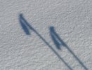 Новоусманская компания построит лыжероллерную трассу под Воронежем за 106,7 млн рублей