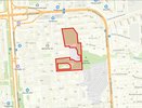 В Воронеже создадут Университетскую дубраву