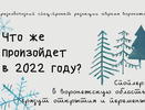 Что ожидает воронежцев в 2022 году