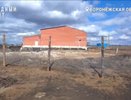 Жители Борисоглебска пожаловались президенту на недостроенный спорткомплекс за 187 миллионов рублей