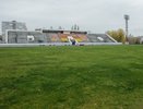 В Воронежской области для развития массового спорта направят 4,5 млрд рублей