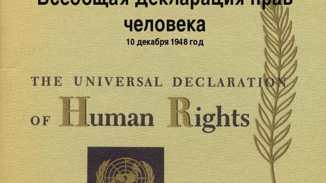 Главная картинка новости:  До 2020 года воронежцы за ценами не угонятся