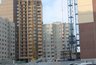 Миниатюра новости: Воронежские строительные показатели упали почти на десять процентов
