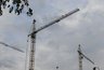 Миниатюра новости: Арбитраж отменил отказ в продаже сельхозземли воронежскому «Выбору»