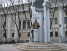 Свобода собраний в Воронеже присутствует  дозированно