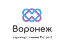 «Логотипу не хватает веса». Эксперты оценили ребрендинг воронежского аэропорта