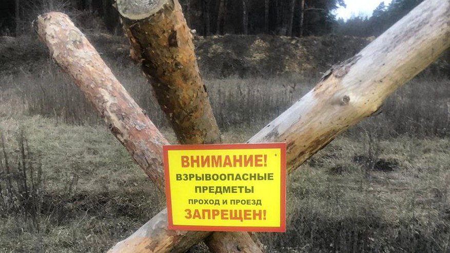 Главная картинка новости: Глава воронежского муниципалитета призвал жителей не ходить в леса из-за риска для жизни
