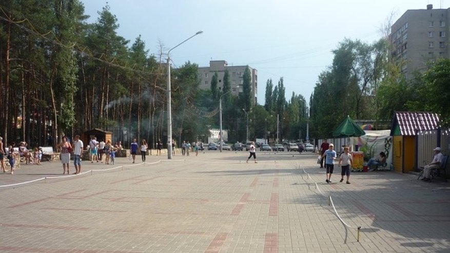 Главная картинка новости: Воронежский предприниматель заплатит 100 тысяч рублей за батут в парке 