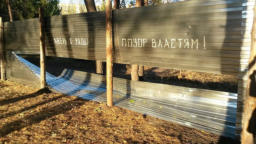 Главная картинка новости: Воронежцы просят президента защитить «Танаис» 