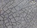 Уголовное дело против главы воронежского «Дорожника» Усика Арутюняна дошло до суда