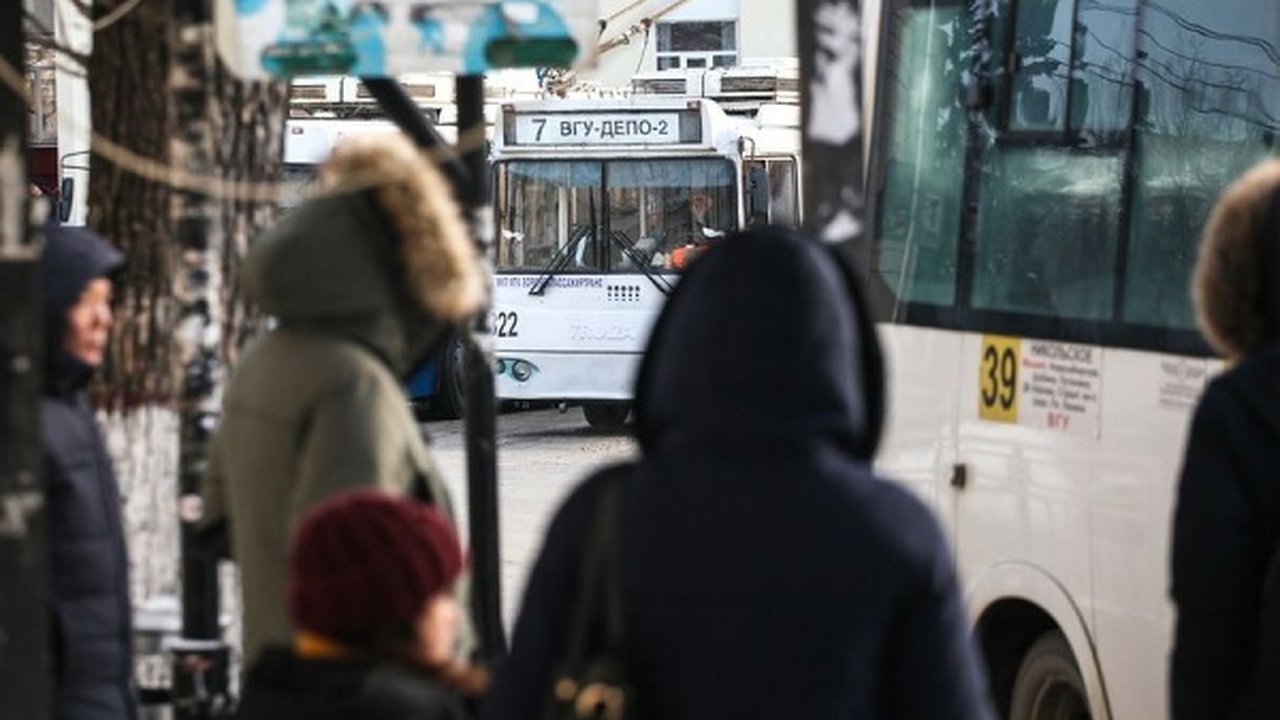 Главная картинка новости: В Воронеже планируют создать интеллектуальную транспортную систему