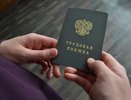 Гострудинспекция проведет внеплановую проверку воронежского перевозчика «Автолайн+»